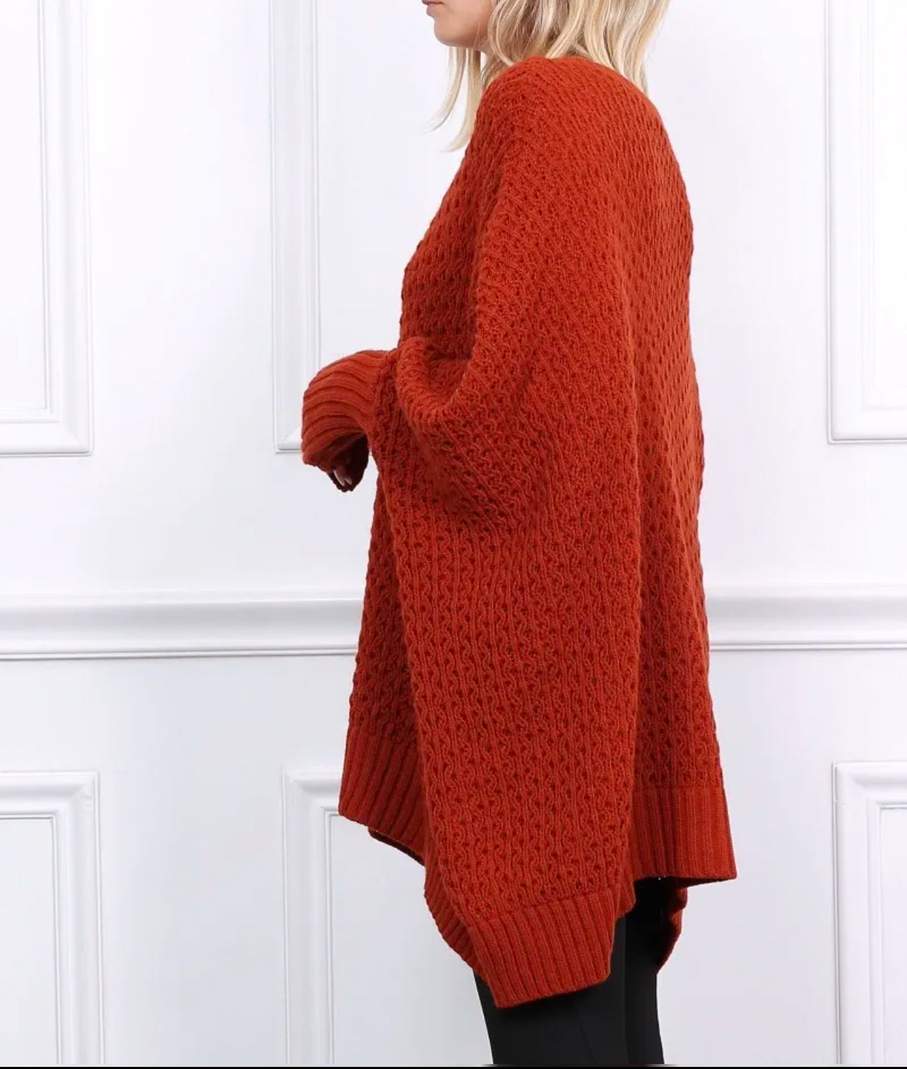(Copie) Pull Delphine, grande taille